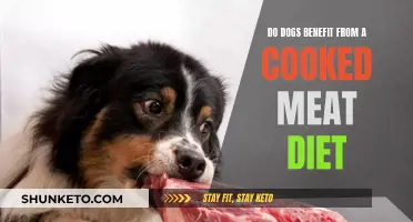 Cooked Meat Diet: A Healthy Choice for Dogs?