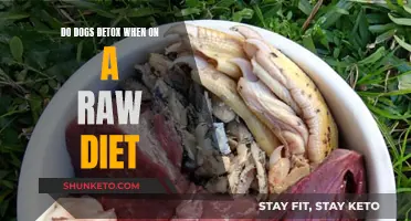 Raw Diet Detox: A Dog's Natural Cleanse