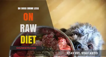 Raw Diet: Less Thirst, More Hydration for Dogs