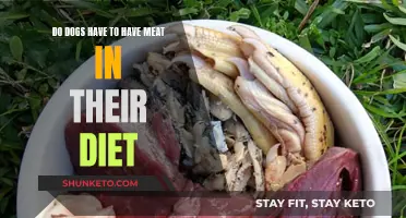 Meat in Dog Diets: Necessary or Not?