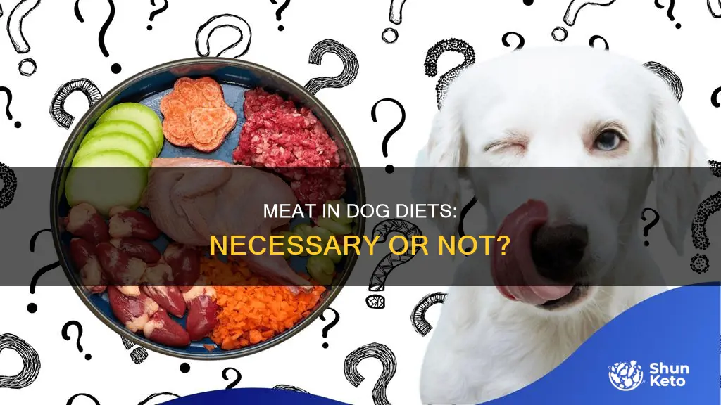 do dogs have to have meat in their diet