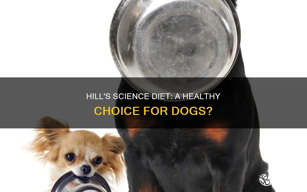 do dogs like hill