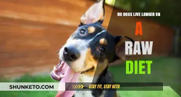 Raw Diet: Can It Extend Your Dog's Life?