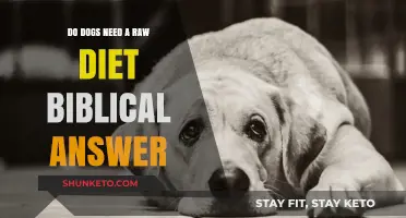 Raw Diet for Dogs: Biblical Perspective