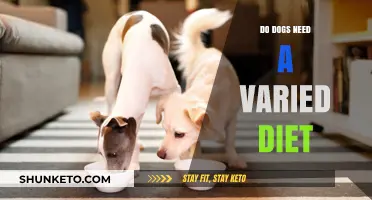 Dogs' Diet: Variety or Monotony?