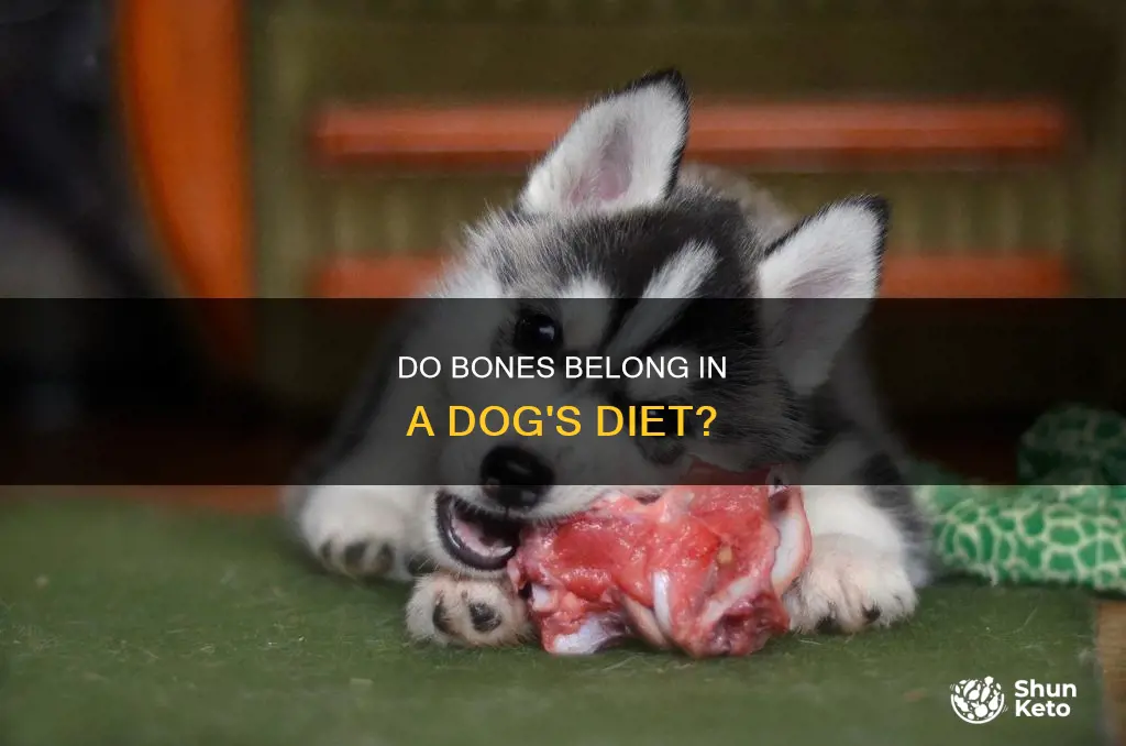 do dog