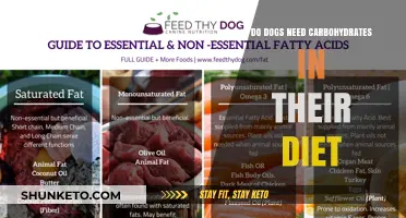 Carbs for Canines: Are They Necessary?