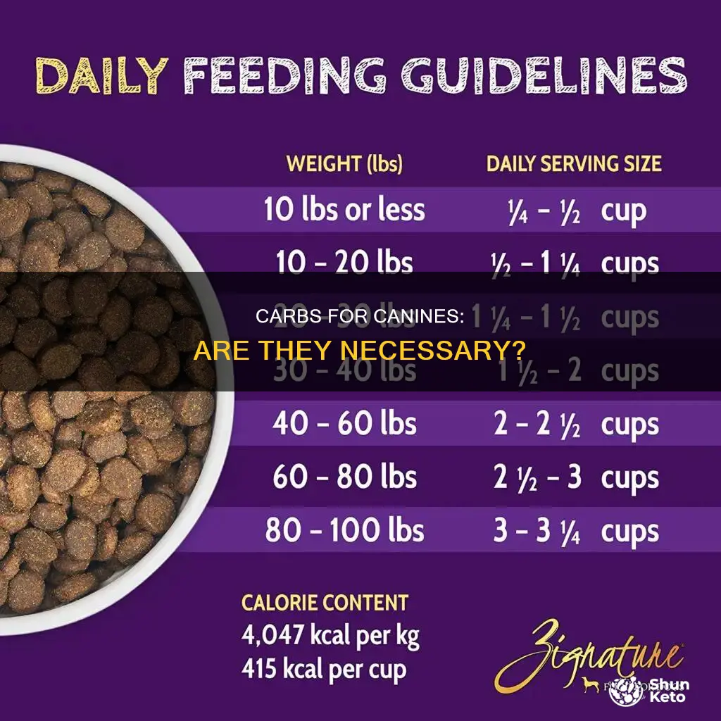 do dogs need carbohydrates in their diet