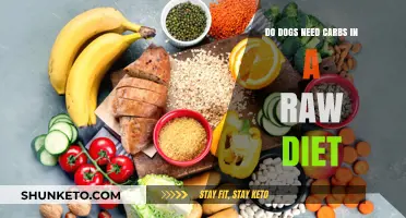 Raw Diet Carb Confusion: Do Dogs Need Them?