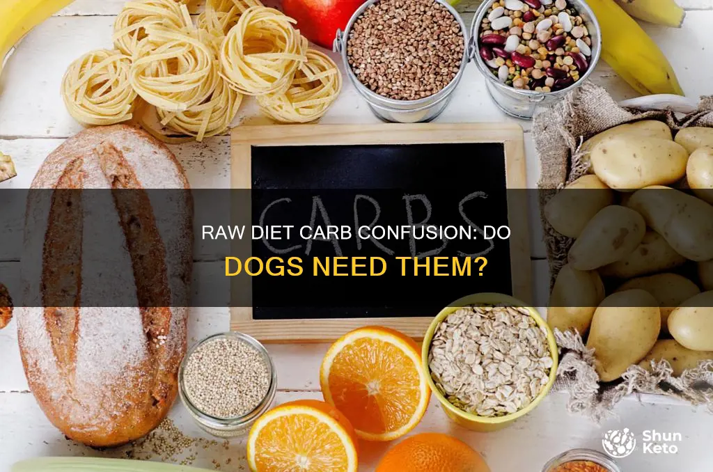 Raw Diet Carb Confusion Do Dogs Need Them ShunKeto raw-diet-carb-confusion-do-dogs-need-them-shunketo