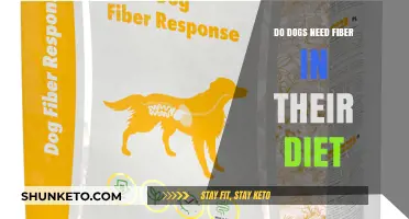 Fiber for Dogs: A Healthy Diet Essential?