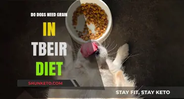 Grain in Dog Food: Friend or Foe?