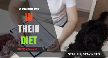 Iron in Dog Food: What You Need to Know