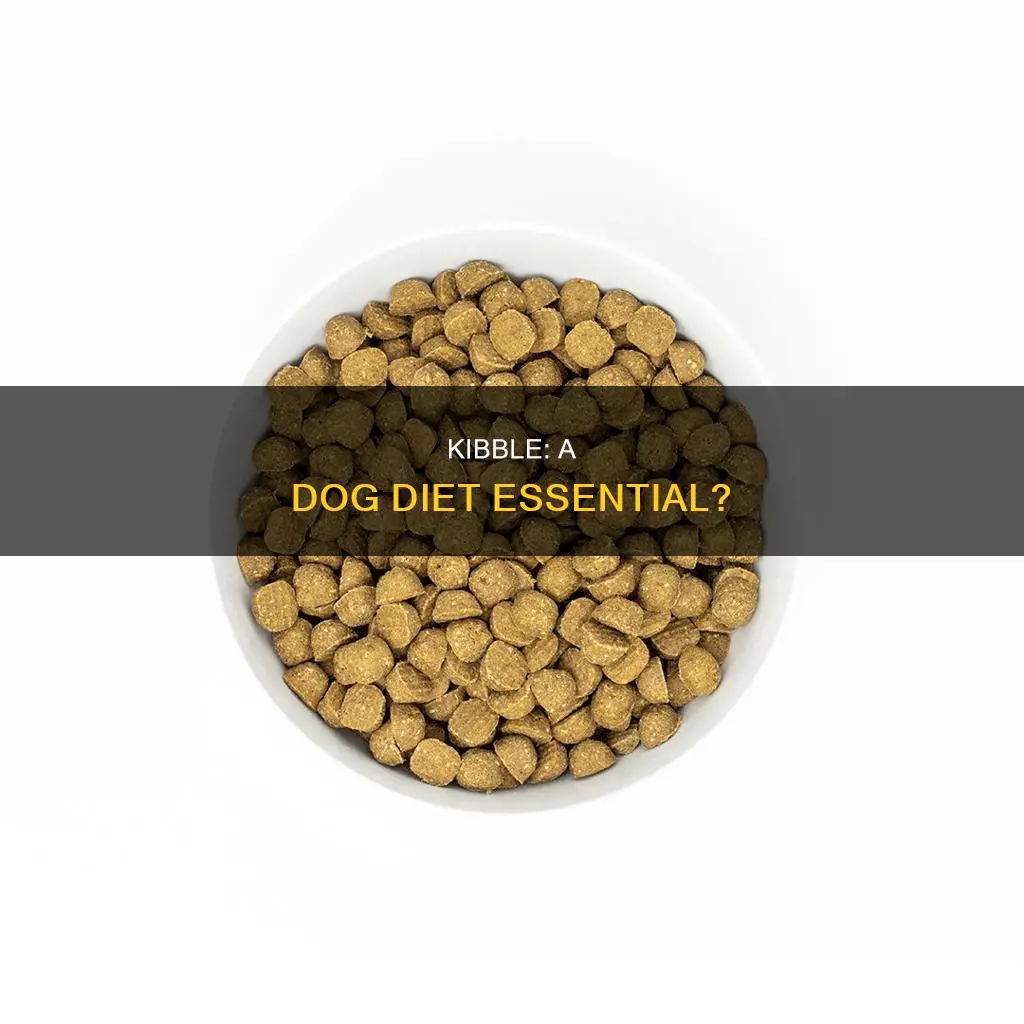 do dogs need kibble in their diet