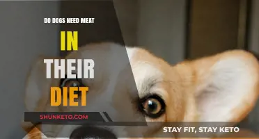 Meat in Dog Diets: Necessary or Not?