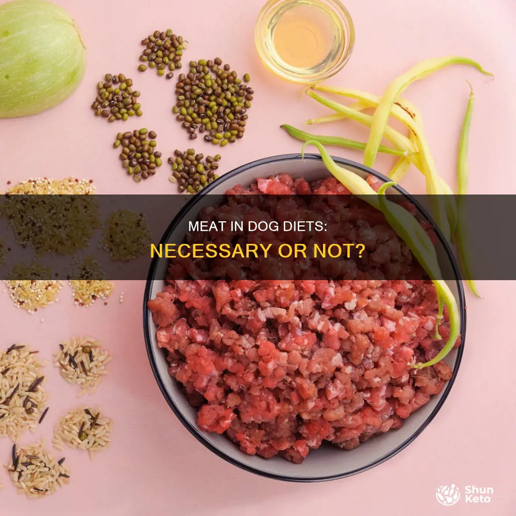 do dogs need meat in their diet