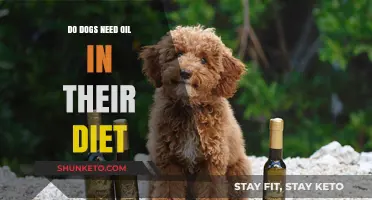 Do Dogs Need Oil? The Importance of Fatty Acids