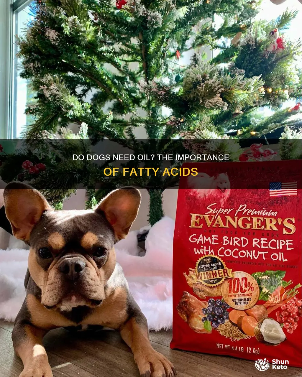 do dogs need oil in their diet