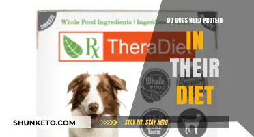 Protein Power: Do Dogs Need This Nutrient?