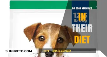 Rice for Dogs: A Healthy Diet Option?