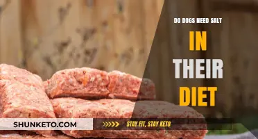 Salt in Dog Food: Friend or Foe?