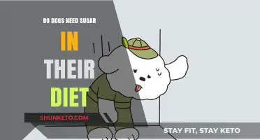 Sugar for Dogs: Friend or Foe?