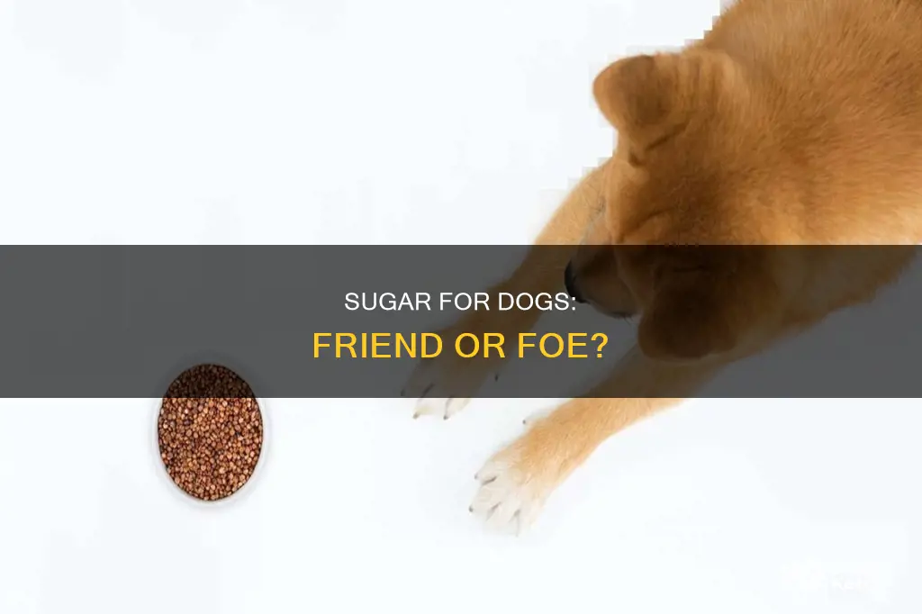 do dogs need sugar in their diet