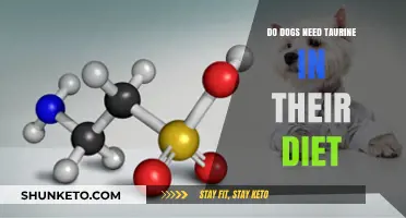 Taurine: An Essential Amino Acid for Dogs?