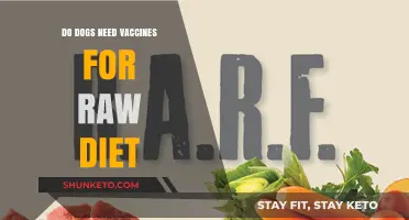 Raw Diet and Vaccines: What's the Deal?