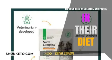 Feeding Dogs: Veggies and Fruits, Yay or Nay?
