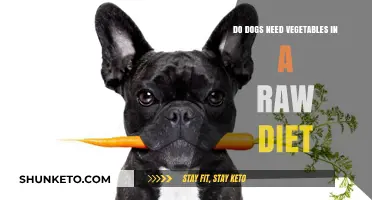 Raw Diets: Do Dogs Need Veggies Too?