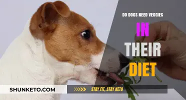 Veggies for Dogs: Are They Necessary?