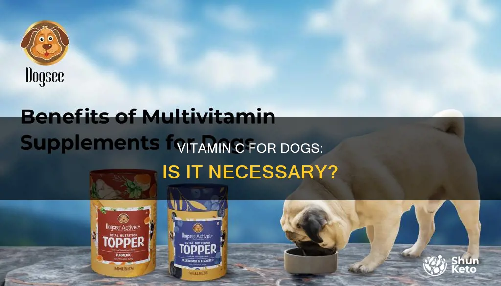 do dogs need vitamin c in their diet