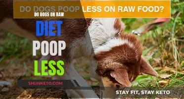 Raw Diet for Dogs: Less Poop, More Nutrition?