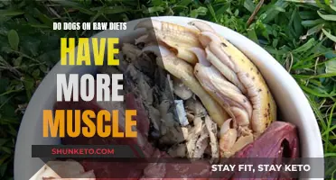 Raw Diets: More Muscle for Dogs?
