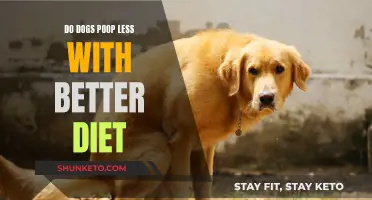 Better Dog Food, Better Poop: Less is More