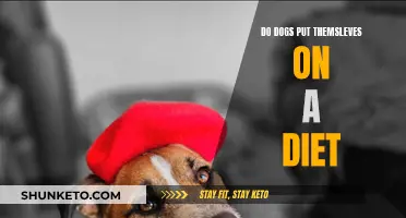 Dogs' Dieting Instincts: Do They Self-Regulate Their Meals?