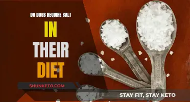 Salt in Dog Food: Is It Necessary?