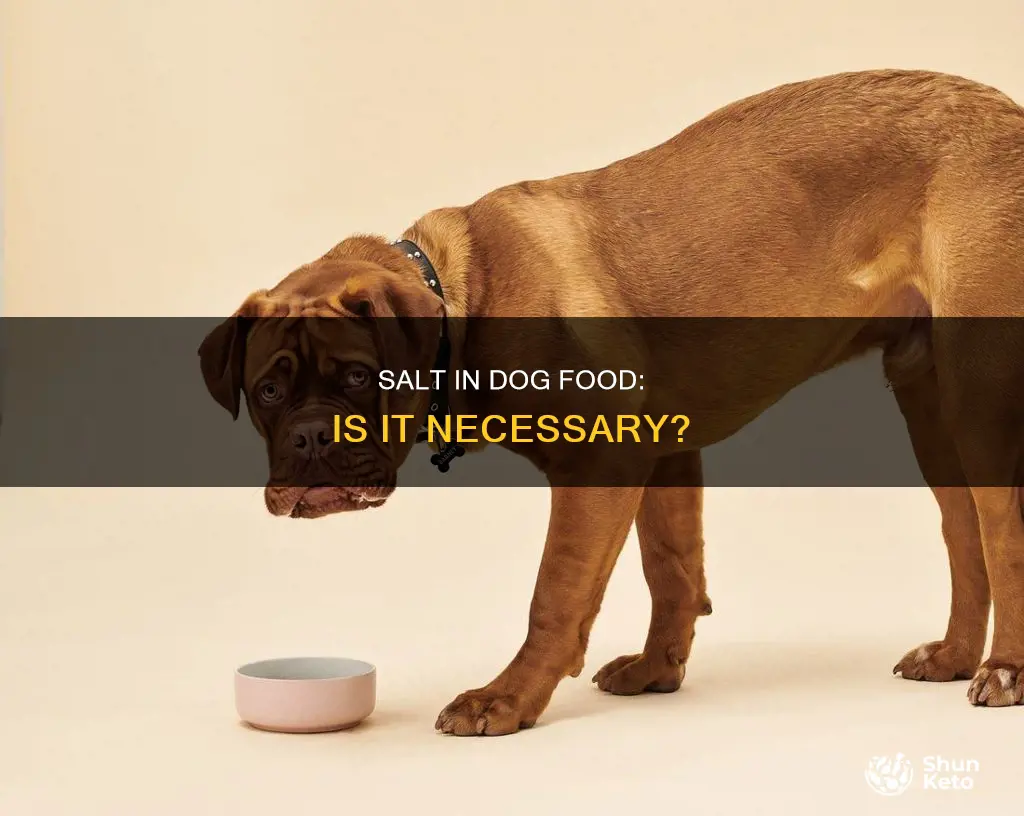do dogs require salt in their diet