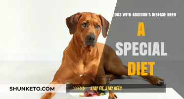 Addison's Disease in Dogs: What Diet Should You Follow?