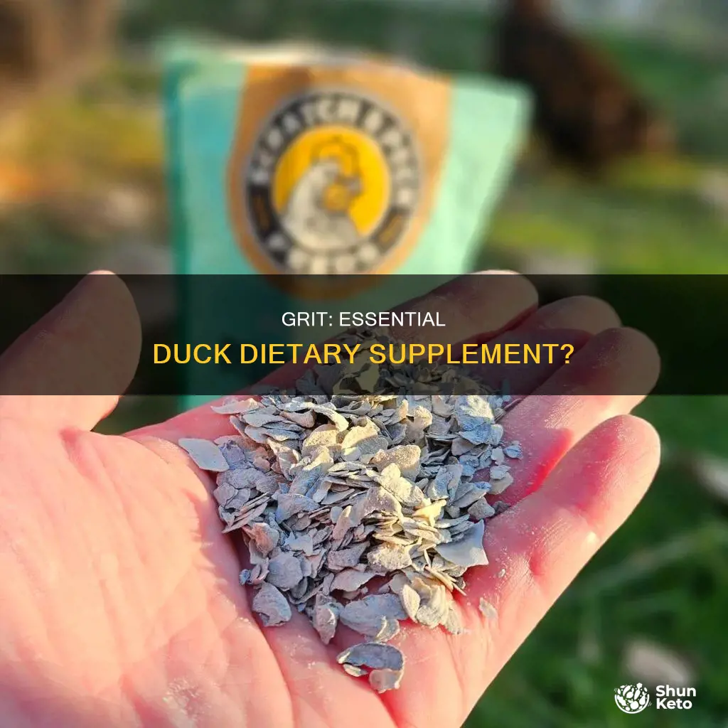 do ducks need grit in their diet