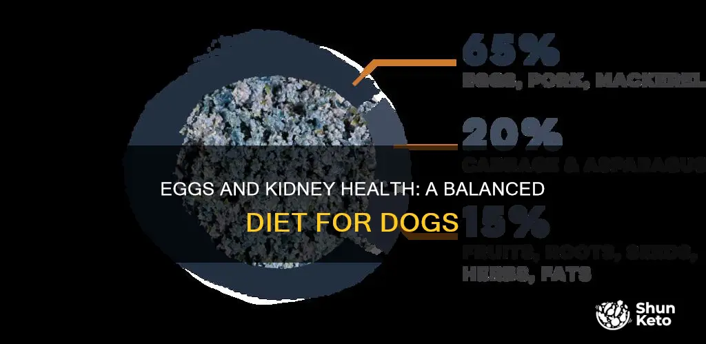 do eggs fit into a kidney diet for dogs