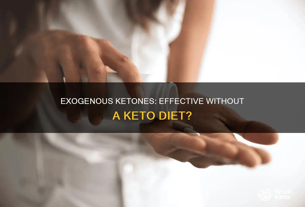 do exogenous ketones work if you