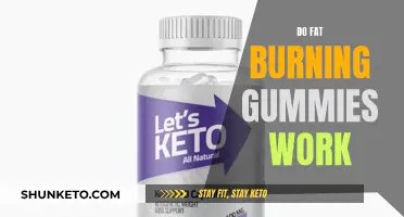 Fat-Burning Gummies: Do They Work or Are They Hype?