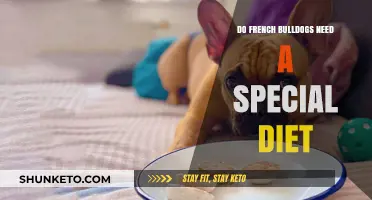 French Bulldog Diet: What's Special About It?