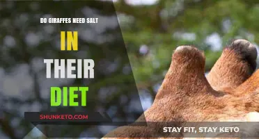 Giraffes' Dietary Salt: What's the Need?