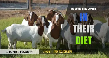Goats and Copper: A Dietary Essential