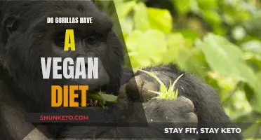 Gorillas' Vegan Diet: Fact or Fiction?