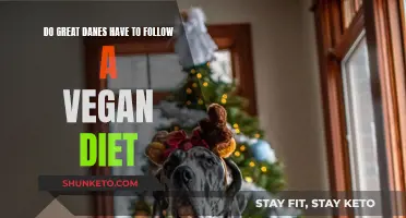 Great Danes: Can They Thrive on Vegan Diets?