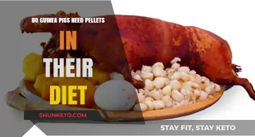 Guinea Pig Nutrition: Do They Need Pellets?